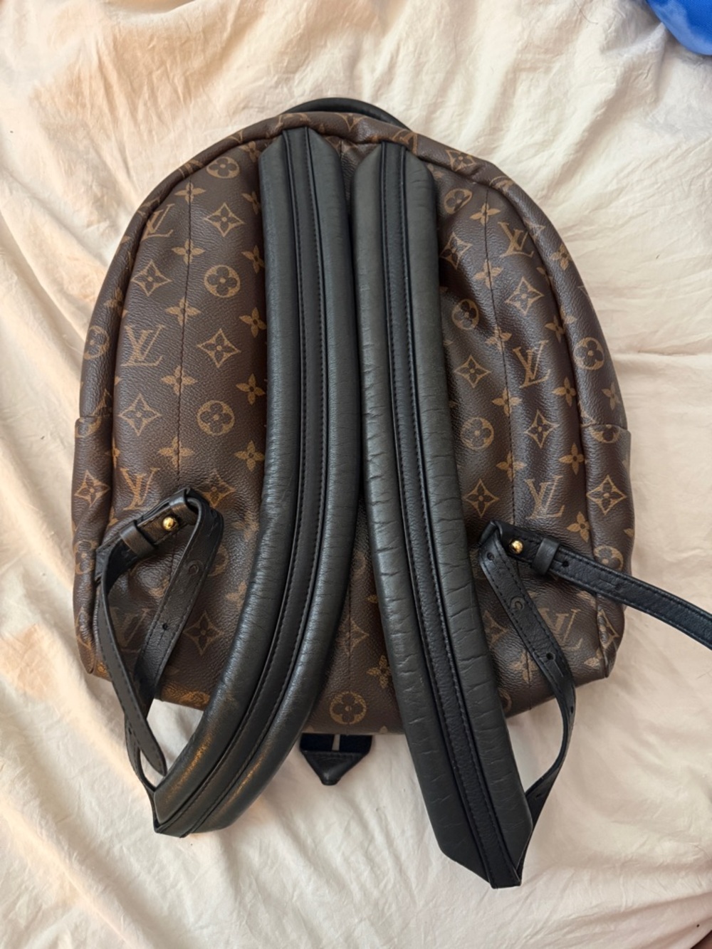 Louis Vuitton Palm Springs MM - Picture 6 of 11